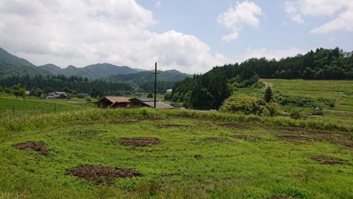 田舎っていいですよね。